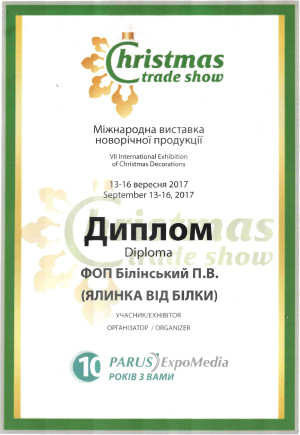 Диплом 2017