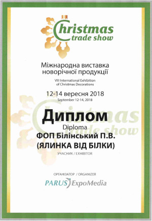 Диплом 2018