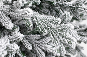Ялинка Лита Віденська засніжена 2,10 м.